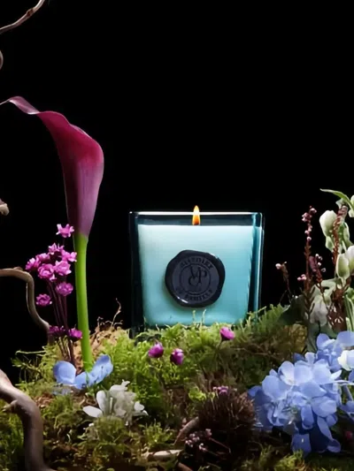 Villa Paradiso Cosmetics Scented Candle (210g) In Blue