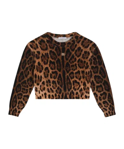 Dolce & Gabbana Leopard-print Crew-neck Pullover In Animal Print