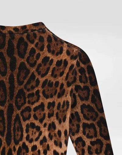 Dolce & Gabbana Leopard-print Crew-neck Pullover In Animal Print