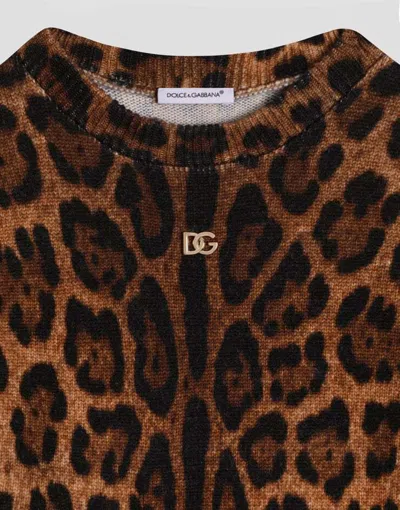 Dolce & Gabbana Leopard-print Crew-neck Pullover In Animal Print