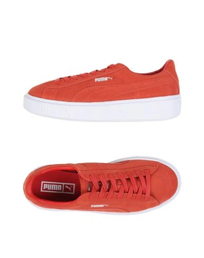 Shop Puma Sneakers In Red