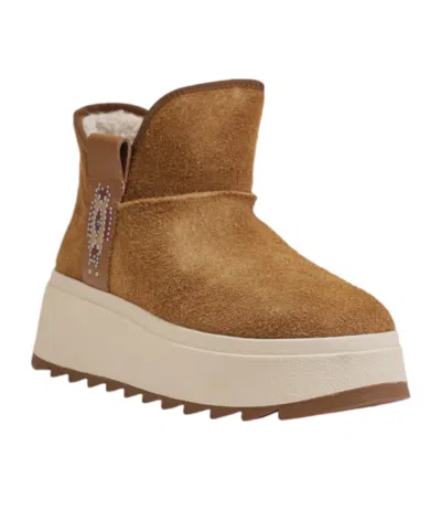 Ash Round-toe Ankle Boots In Brown
