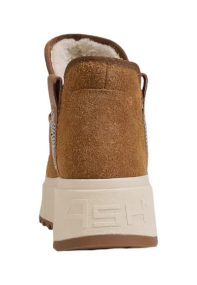 Ash Round-toe Ankle Boots In Brown
