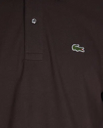 Lacoste Polo With Logo In Brown