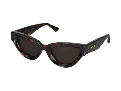 Bottega Veneta Womens Brown 6j000413 Bv1249s Cat Eye-frame Injected Sunglasses In Havana Havana Brown