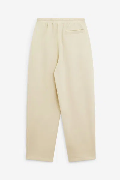 Sportmax Lord Pants In Brown