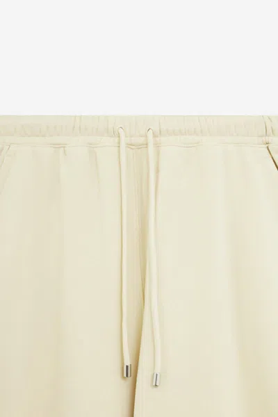 Sportmax Lord Pants In Brown