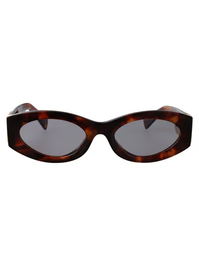 Miu Miu Mahogany Havana Acetate Sunglasses In Burgundy