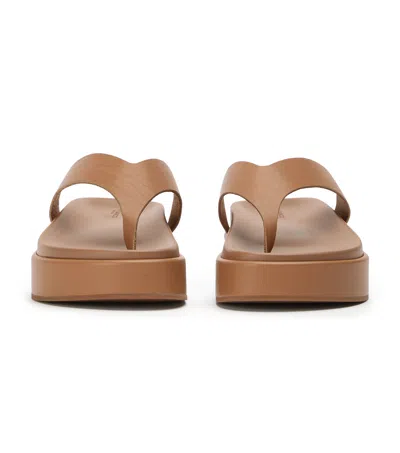 Tony Bianco Jetta Tan Tuscon In Brown