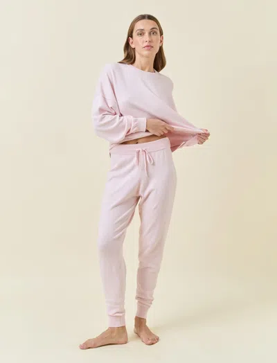 Papinelle Cotton Cashmere Jogger In Purple