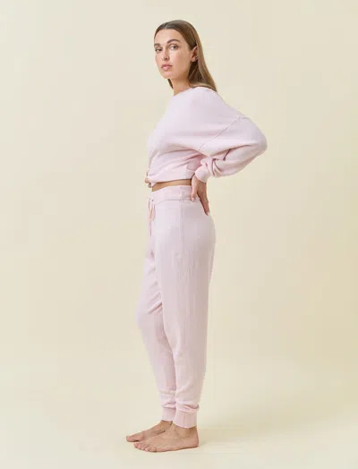 Papinelle Cotton Cashmere Jogger In Purple