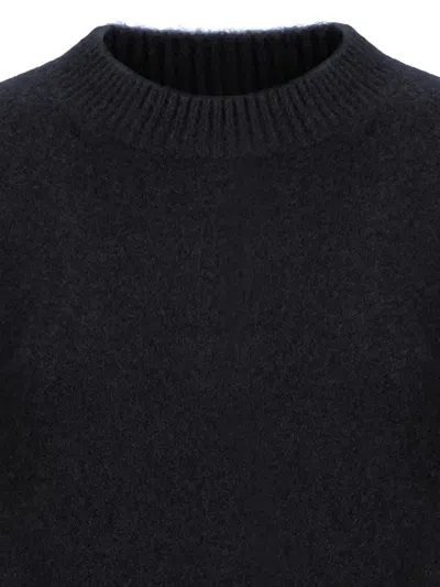 Laneus Crew-neck Sweater In Black