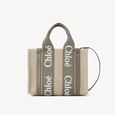 Chloé Small Woody Tote Bag In Linen In Brown