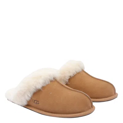 Ugg Scuffette Ii Slippers With Wool Lining Shoes In Brown