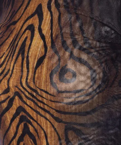 Jean Paul Gaultier Wood Printed Mesh Long Sleeve Top In Brown