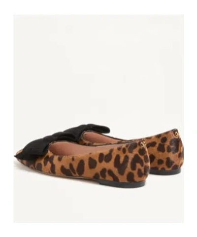 Valentino Garavani Bowow Ballerina In Pony-effect Calfskin Woman Animal Print 42 In Multi