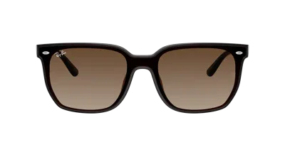 Ray Ban Ray In Brown