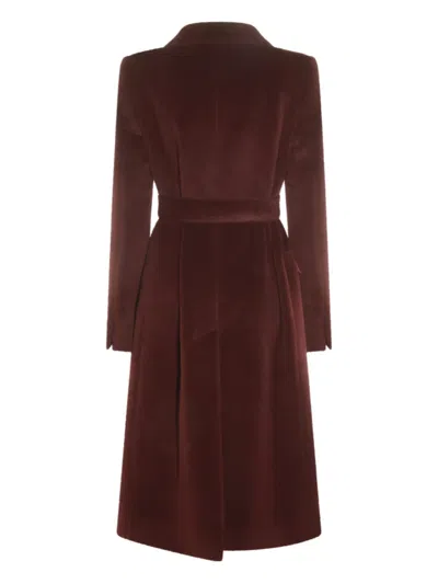 Tagliatore Long Coat With Belt And Gold Buttons In Burgundy