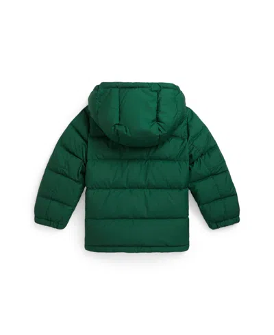 Polo Ralph Lauren Big Boys Ripstop Down Hooded Jacket In Green