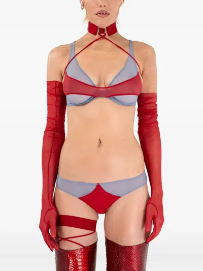 Zhilyova Asteria Mesh-panel Briefs In Multi