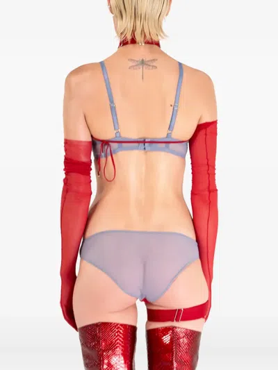 Zhilyova Asteria Mesh-panel Briefs In Multi