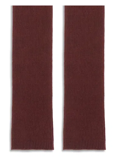 Sa Su Phi Long Ribbed Knit Gloves In Deep Burgundy Shade In Burgundy