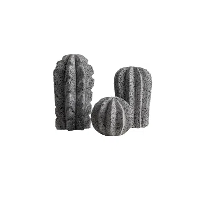And Jacob Grey Cactus Set - Lava Stone In Gray