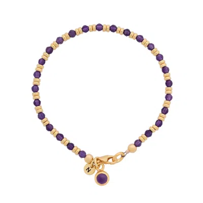 Nellou Jewellery Women's Purple Linear February Birthstone Bracelet Amethyst Gold Plated Sterling Silver In Purple