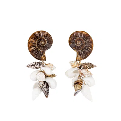 Oanasavu.creations Women's Brown / Gold / White Sea Treasures Brown Ammonite Seashells Gold One Of A Kind Earrings In Multi