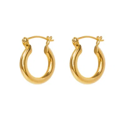 Freya Rose Gold Mini Hoops In Gold