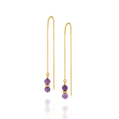 Nellou Jewellery Women's Gold / Purple Fall Birthstone Earrings February Amethyst Gold Plated Sterling Silver In Multi