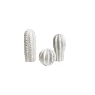 And Jacob Cactus Set - White Marble In White