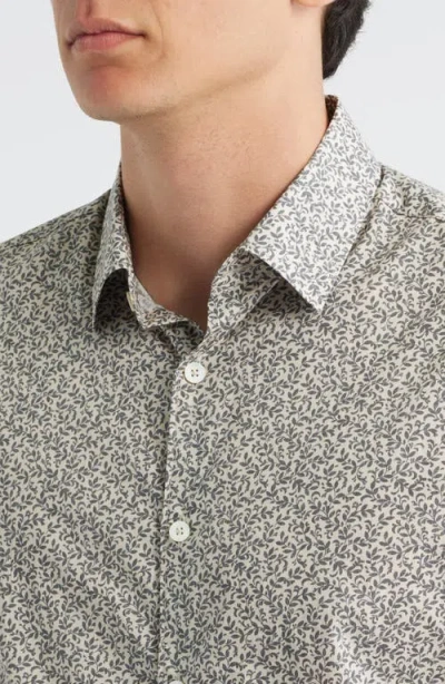 Canali Regular Fit Floral Cotton & Lyocell Dress Shirt In Multi