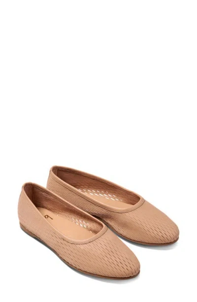 Beek Swiftlet Perforated Leather Ballet Flat In Neutral