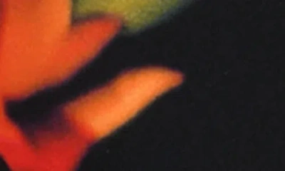 Sunshine 79 Floressence Side Tie Bikini Bottoms In Multi