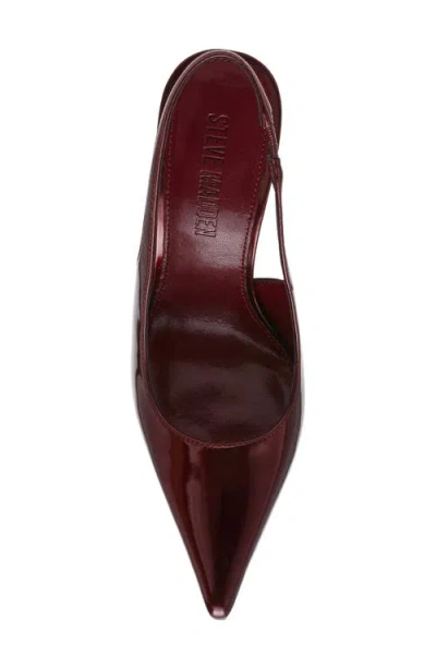 Steve Madden Reyes Pointed Toe Slingback Sandal In Burgundy