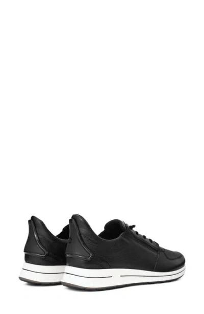 Ara Ovation Sneaker In Black