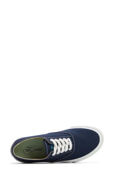 Sperry Classic Cvo Sneaker In Blue