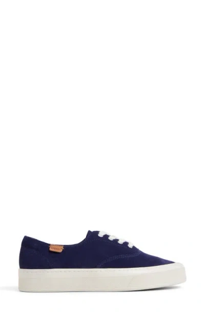 Sperry Candy Cvo Sneakers In Blue