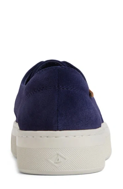 Sperry Candy Cvo Sneakers In Blue