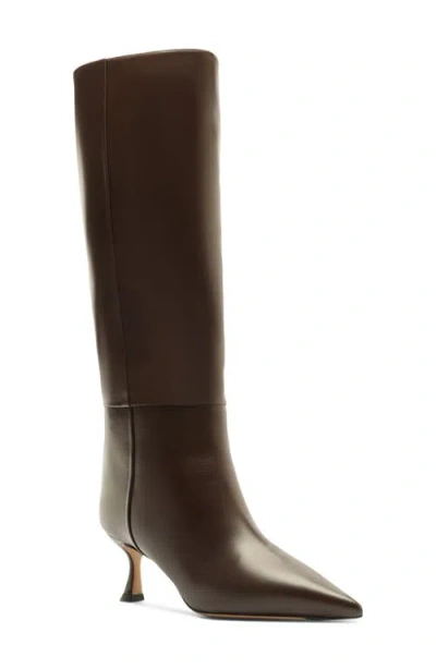 Alexandre Birman Brena Pointed Toe Knee High Boot In Brown