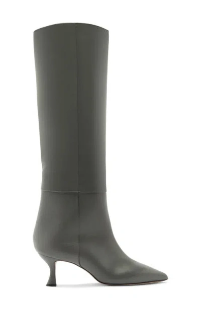 Alexandre Birman Brena Pointed Toe Knee High Boot In Gray