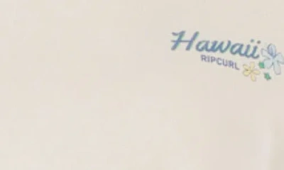 Rip Curl Pacific Cotton Blend Graphic Sweatshirt In White