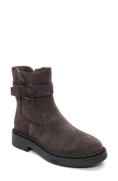 Ash Woman Ankle Boots Charcoal Size 8 Leather In Brown