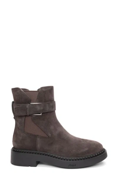Ash Woman Ankle Boots Charcoal Size 8 Leather In Brown