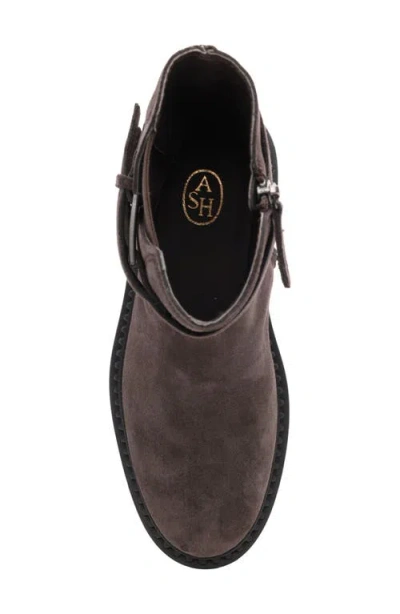 Ash Woman Ankle Boots Charcoal Size 8 Leather In Brown
