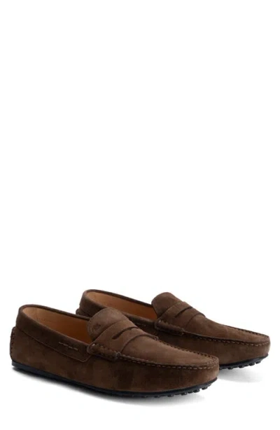 Robert Barakett Conor Suede Driving Loafer In Brown