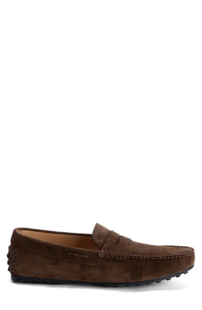 Robert Barakett Conor Suede Driving Loafer In Brown