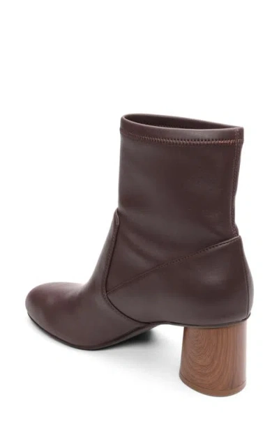 Sanctuary Rory Stretch Ankle Boots In Burgundy