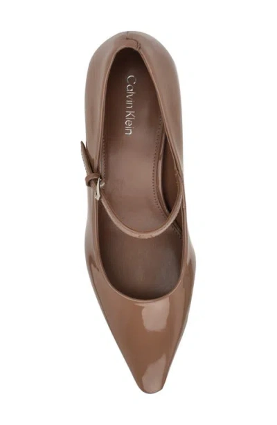 Calvin Klein Women's Naprina Block Heel Mary Jane Pumps In Brown